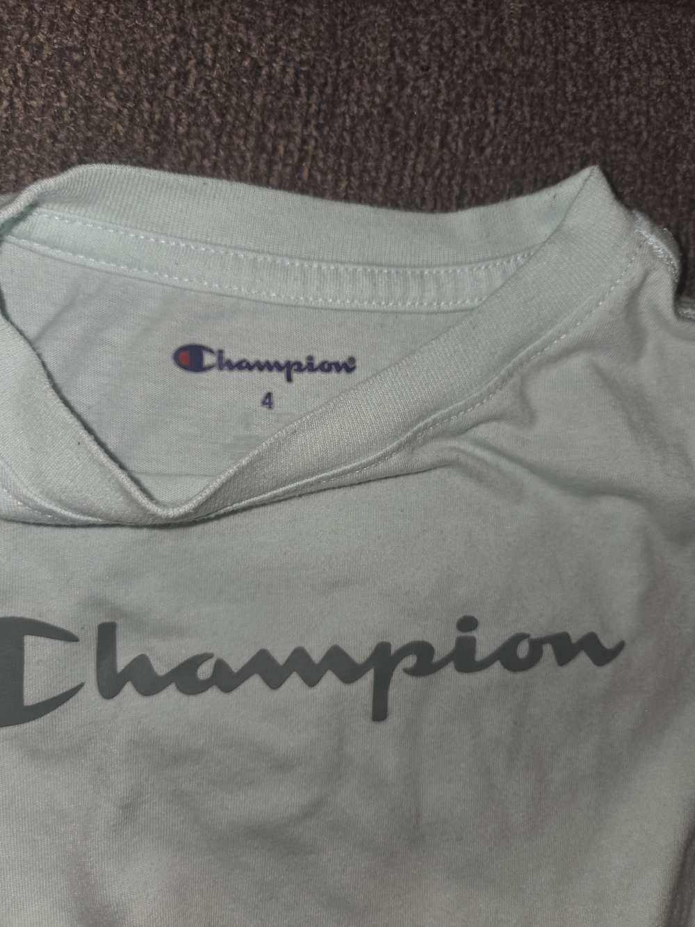 Champion Mint Green Short Sleeve Logo Tee